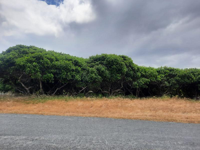 0 Bedroom Property for Sale in Kleinbaai Western Cape